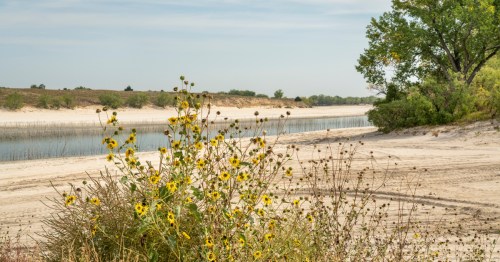 view of a beach along the shores of lake mcconaughyin oklahoma