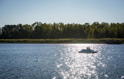 A couple paddles on a serene lake, surrounded by trees, with sunlight sparkling on the water's surface.