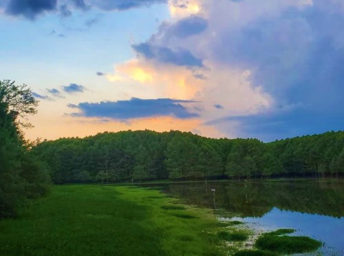 A serene landscape featuring a calm lake surrounded by lush greenery and a colorful sky at sunset.