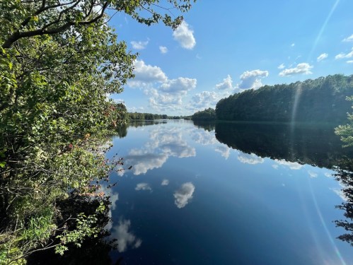 A serene lake reflects blue skies and clouds, surrounded by lush greenery and trees on a sunny day.