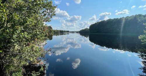 A serene lake reflecting clouds and trees under a bright blue sky, surrounded by lush greenery.