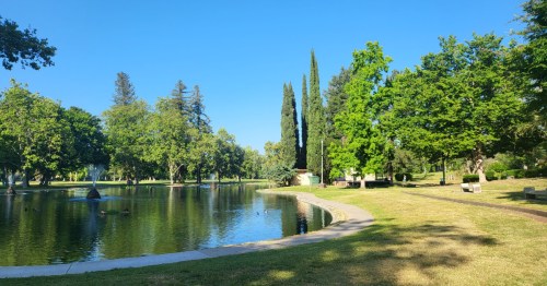 A serene park scene featuring a calm pond, lush green trees, and a clear blue sky.