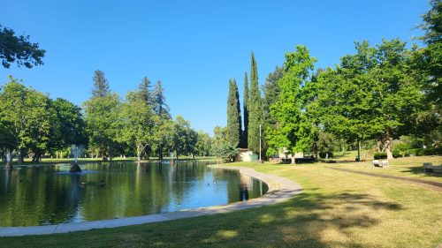 A serene park scene featuring a calm pond, lush green trees, and a clear blue sky.