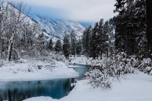 A serene winter landscape featuring a snowy river surrounded by tall pine trees and mountains under a cloudy sky.