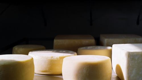 A collection of round cheese wheels arranged on a surface, illuminated by soft light.