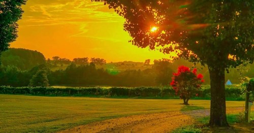 A serene landscape at sunset, featuring vibrant colors, trees, and a peaceful path leading into the distance.