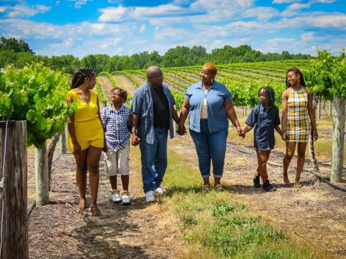 A family walks hand-in-hand through a vineyard, smiling and enjoying a sunny day among the grapevines.