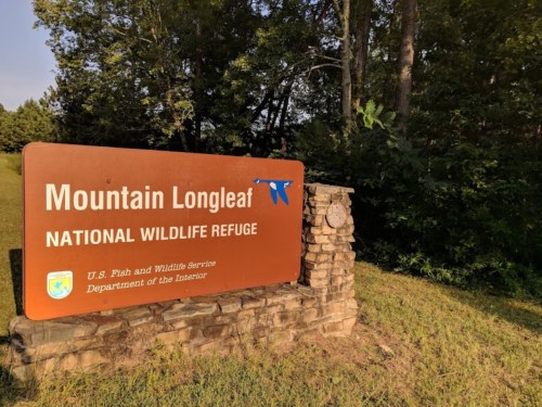 Sign for Mountain Longleaf National Wildlife Refuge, featuring a stone base and surrounded by trees.