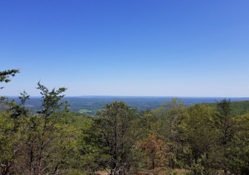 A panoramic view of a lush green landscape under a clear blue sky, with distant mountains on the horizon.