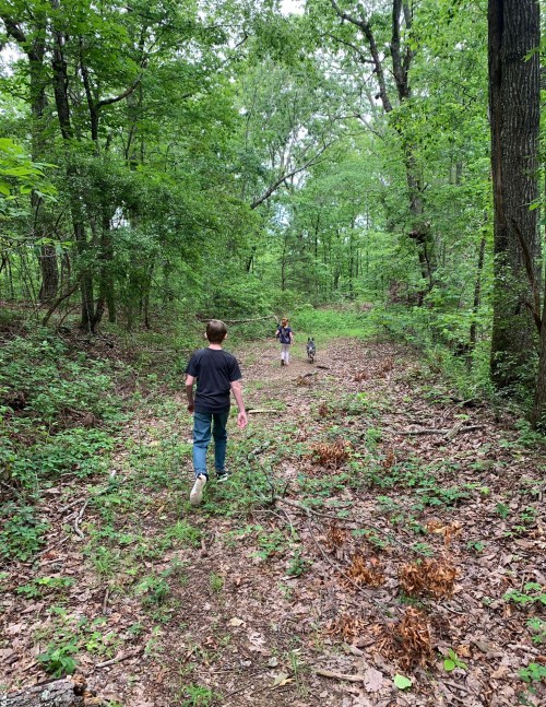 Two children walking a dog on a wooded trail surrounded by lush green trees and foliage.