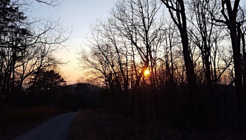 A serene sunset peeks through bare trees along a gravel path in a tranquil forest setting.