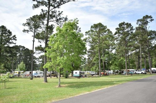 A scenic campground with RVs and tents nestled among tall trees and green grass under a partly cloudy sky.