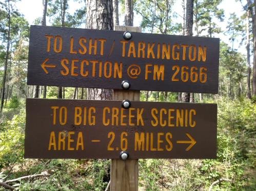 Wooden signpost with directions: left to LSHT/Tarkington and right to Big Creek Scenic Area, 2.6 miles ahead.