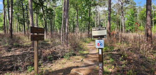 A wooded trail with signs for a hiker trail and park information, surrounded by tall trees and greenery.