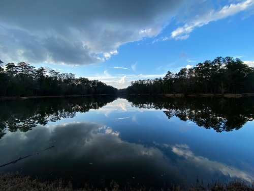 A serene lake reflecting trees and clouds under a blue sky, creating a peaceful natural scene.