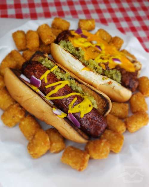 Two loaded hot dogs with mustard, relish, and onions, surrounded by crispy tater tots on a checkered tablecloth.