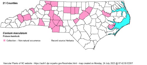Map of North Carolina showing counties where poison hemlock (Conium maculatum) is found, highlighted in pink.