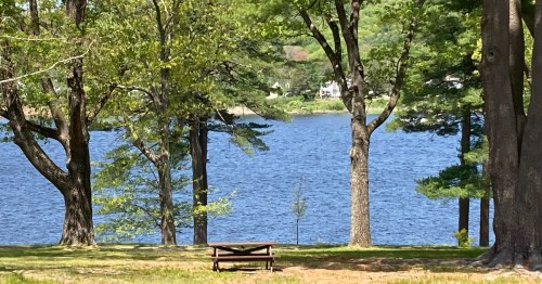 A serene lakeside view with trees and a picnic table in the foreground, reflecting calm water and greenery.