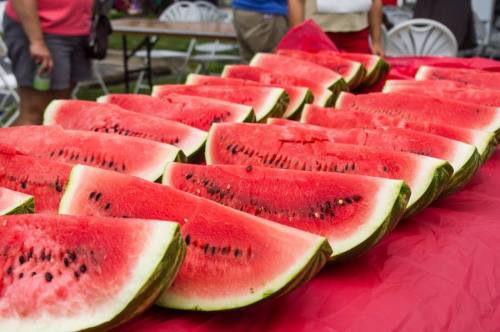 A table covered with neatly arranged slices of watermelon, showcasing vibrant red flesh and green rind.
