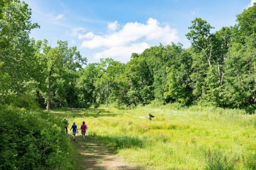 Two people walk along a grassy path in a lush green landscape under a bright blue sky with scattered clouds.