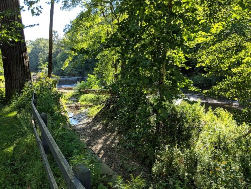 A serene landscape featuring a stream, lush greenery, and a small waterfall in a sunlit forest setting.