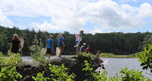 A group of children exploring a rocky shore by a lake, holding nets and enjoying a sunny day outdoors.