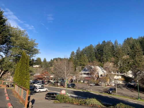 A scenic view of a small town with trees, parked cars, and a clear blue sky in the background.