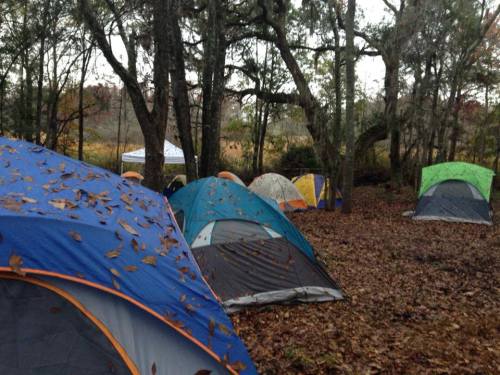 A campsite with several tents nestled among trees, surrounded by fallen leaves and a grassy area in the background.