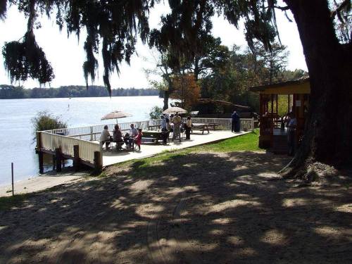 A riverside scene with a wooden deck, people sitting under umbrellas, and a small building nearby, surrounded by trees.