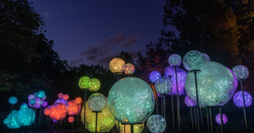Colorful illuminated spheres in various sizes glow against a twilight sky, surrounded by trees.