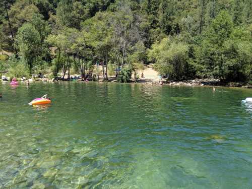 A serene lake surrounded by trees, with people swimming and relaxing on the shore under a clear blue sky.