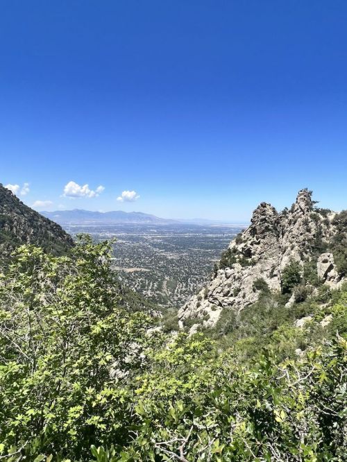 A scenic view of mountains and valleys under a clear blue sky, with lush greenery in the foreground.