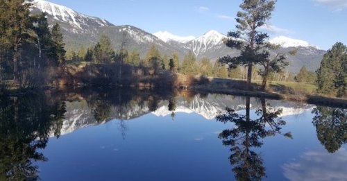 A serene landscape featuring a calm lake reflecting snow-capped mountains and pine trees under a clear blue sky.