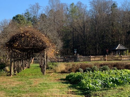 A garden scene featuring a vine-covered archway, lush greenery, and a gazebo in the background under a clear blue sky.