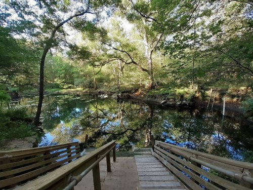 A serene view of a pond surrounded by trees, with wooden steps leading down to the water's edge.