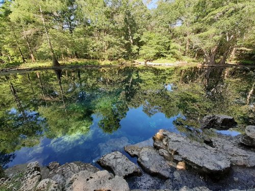A serene pond surrounded by lush greenery, with clear reflections of trees on the water's surface and rocky edges.