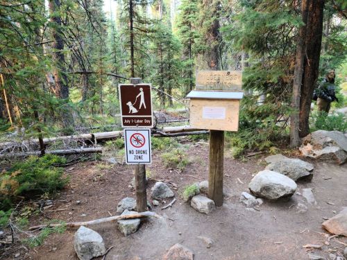 Trail sign indicating hiking rules, including a no drone zone, surrounded by trees and rocky terrain.