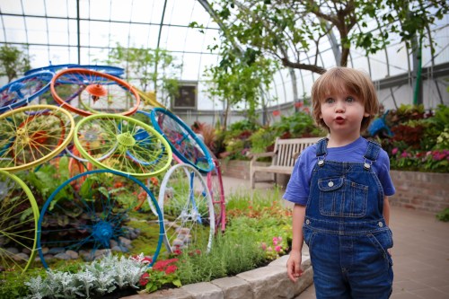 A young child in overalls stands in a vibrant greenhouse, surrounded by colorful plants and a unique art installation.