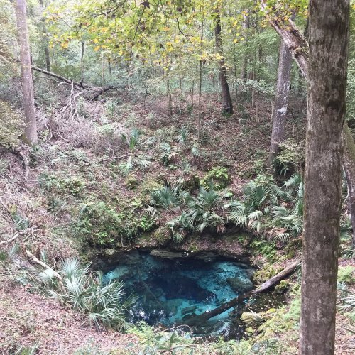 A serene natural spring surrounded by lush greenery and trees, with clear blue water visible at the center.