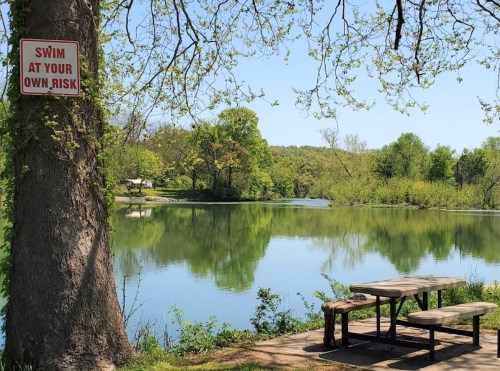 A serene lake view with a picnic table and a sign warning to swim at your own risk, surrounded by lush greenery.