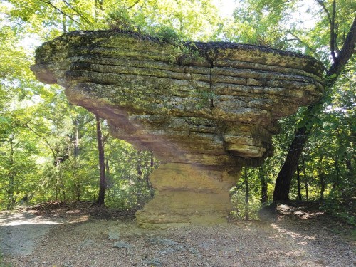 A large, flat-topped rock formation surrounded by trees in a wooded area.