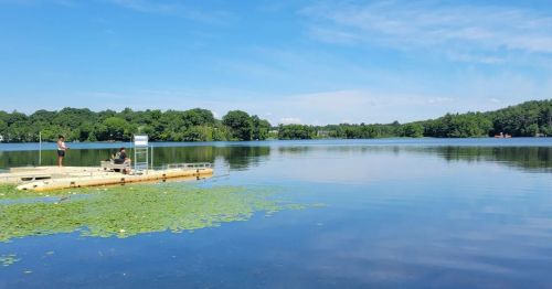 A serene lake scene with a wooden dock, people fishing, and lush greenery under a clear blue sky.