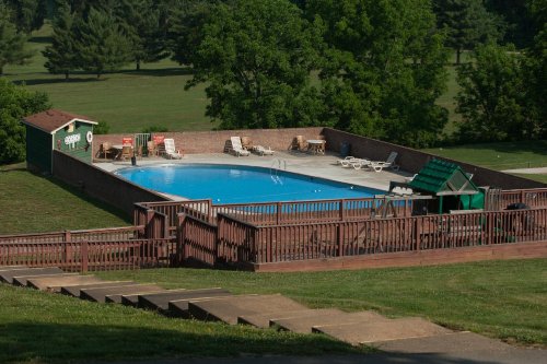 A clear blue swimming pool surrounded by green grass and trees, with lounge chairs and a wooden deck.