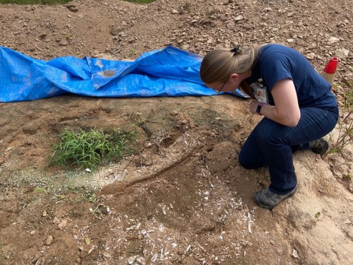 A person kneels beside a covered excavation site, examining the ground with a blue tarp in the background.