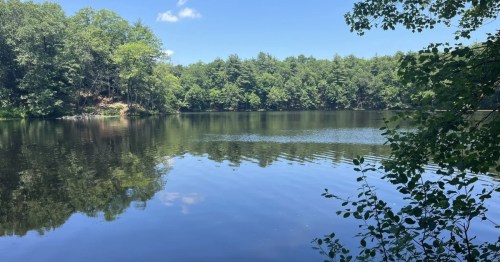 a view of puffer's pond in amherst ma on a clear day
