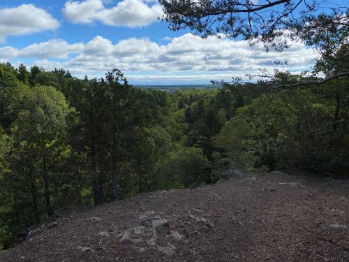 A scenic view of a lush green forest under a partly cloudy sky, with distant hills visible on the horizon.