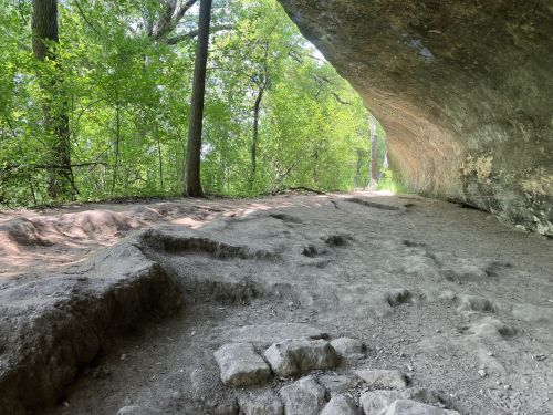 A rocky path under a large overhang, surrounded by lush green trees and sunlight filtering through the foliage.