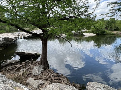 A serene landscape featuring a tree by a calm pond, with rocks and reflections of clouds in the water.