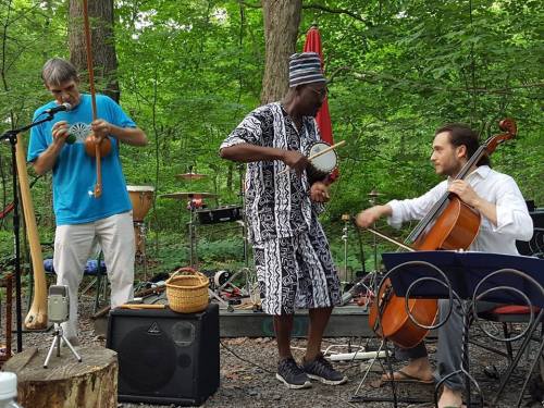 Three musicians perform outdoors in a forest, playing various instruments, surrounded by trees and natural scenery.