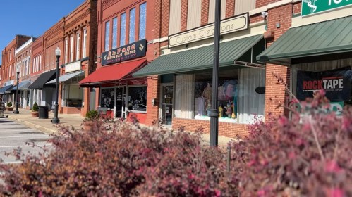 A row of brick storefronts with awnings, featuring various shops and colorful flowers in the foreground.